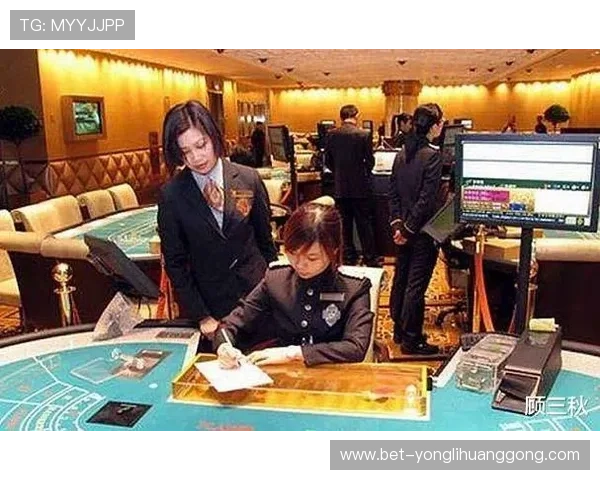 澳门的赌场总数是多少以及每家赌场的主要娱乐项目介绍